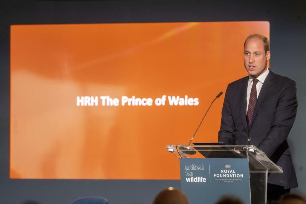 Na snímke britský princ William reční na globálnom summite United for Wildlife (UfW) vo Vedeckom múzeu v Londýne v utorok 4. októbra 2022. FOTO TASR/AP