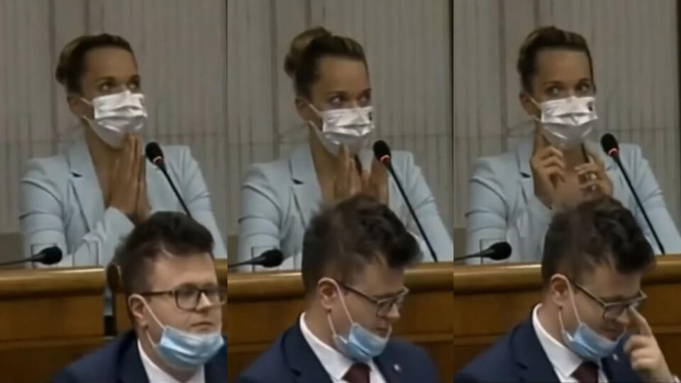 Bývalá tenistka a v súčasnosti poslankyňa parlamentu za stranu OĽaNO Romana Tabák si opäť vyslúžila vlnu vtipov. Po prejave podpredsedu strany Smer-SD Juraja Blanára počas odvolávania premiéra Igora Matoviča si vzala slovo práve Tabák, ktorá chcela zareagovať. Namiesto argumentov však zo seba dostala len