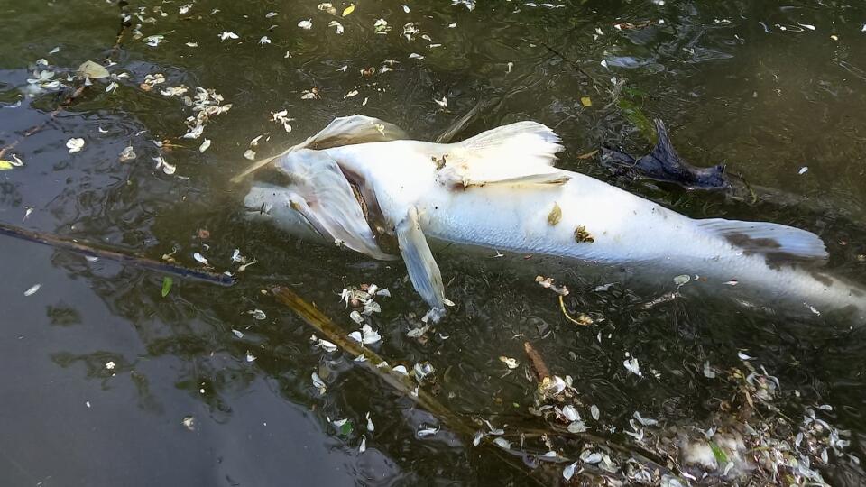 Mnohí si želajú, aby sa tento stav po rokoch už skončil.