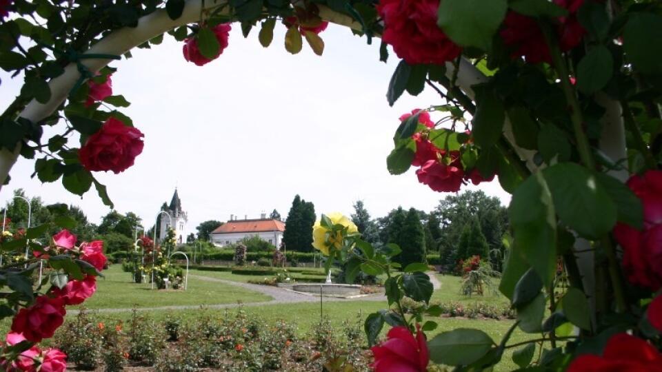 AKO POHĽADNICA : V areáli
arboréta všetko kvitne.