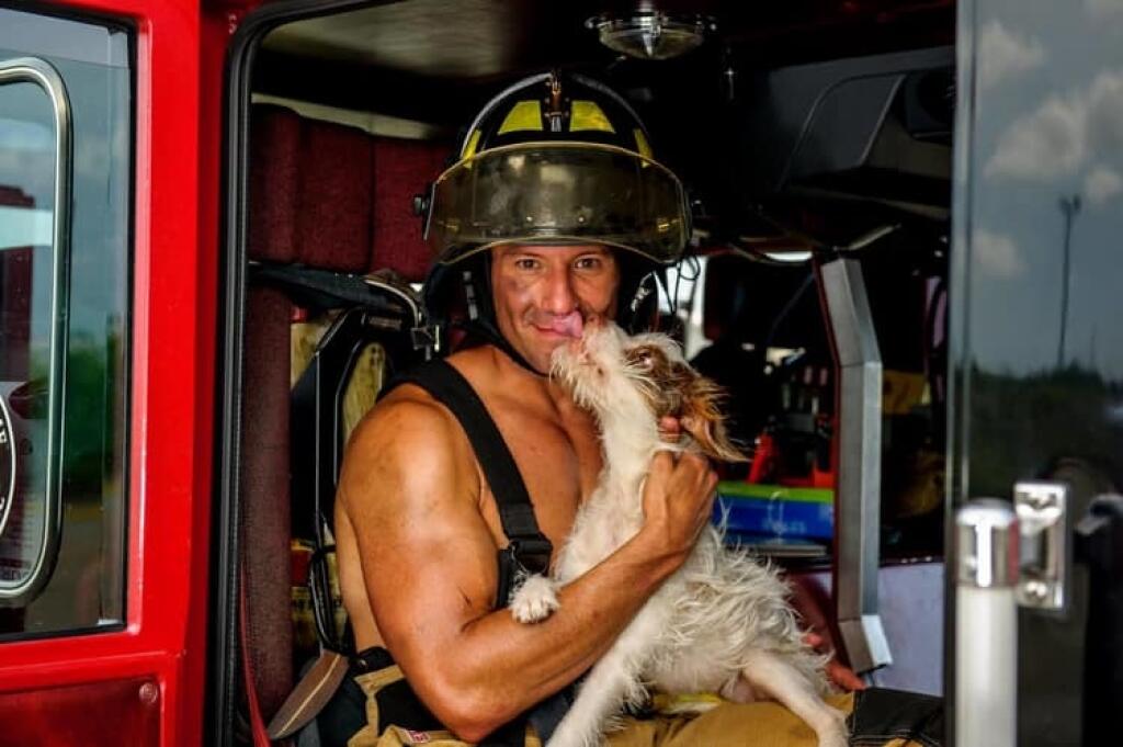 Что едят пожарники. Кот пожарный. Пожарный с котом на руках. Пожарные США. Отважный пожарник.