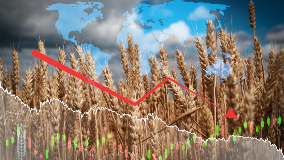 Global,Food,Crisis,With,Duble,Exposure,Of,Graphic,Diagrams,And