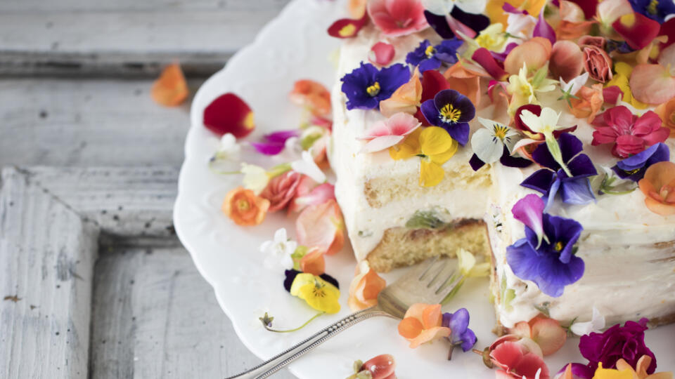 Kvietková torta s jogurtovým krémom
