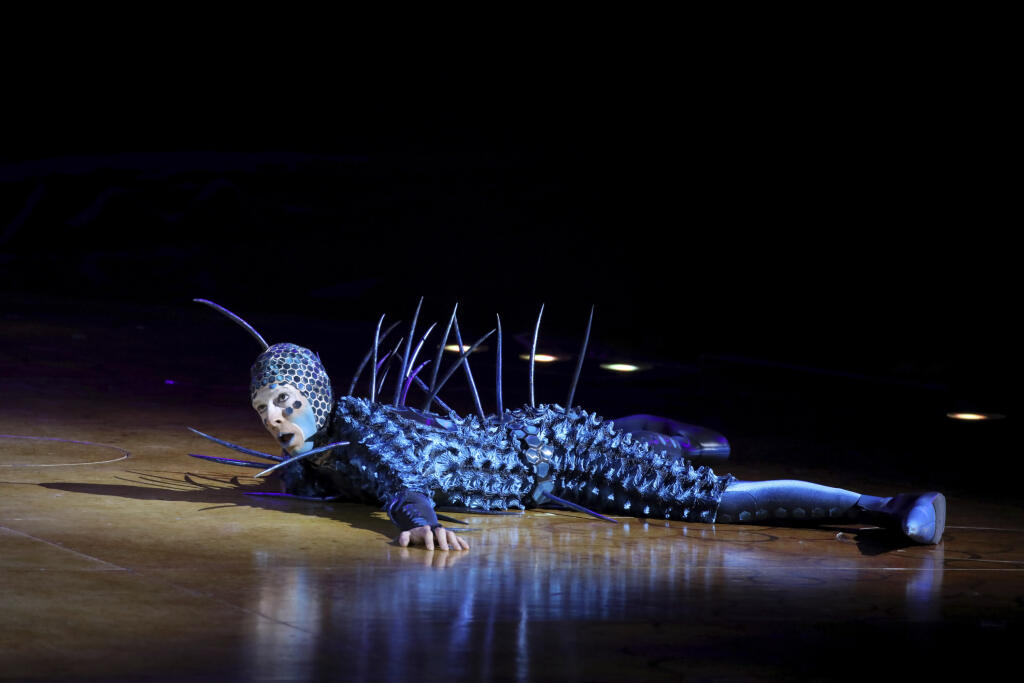 Cirque Du Soleil