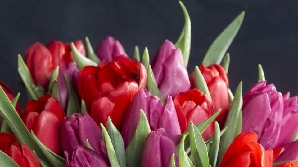 Při aranžování tulipánů se nebojte kombinovat