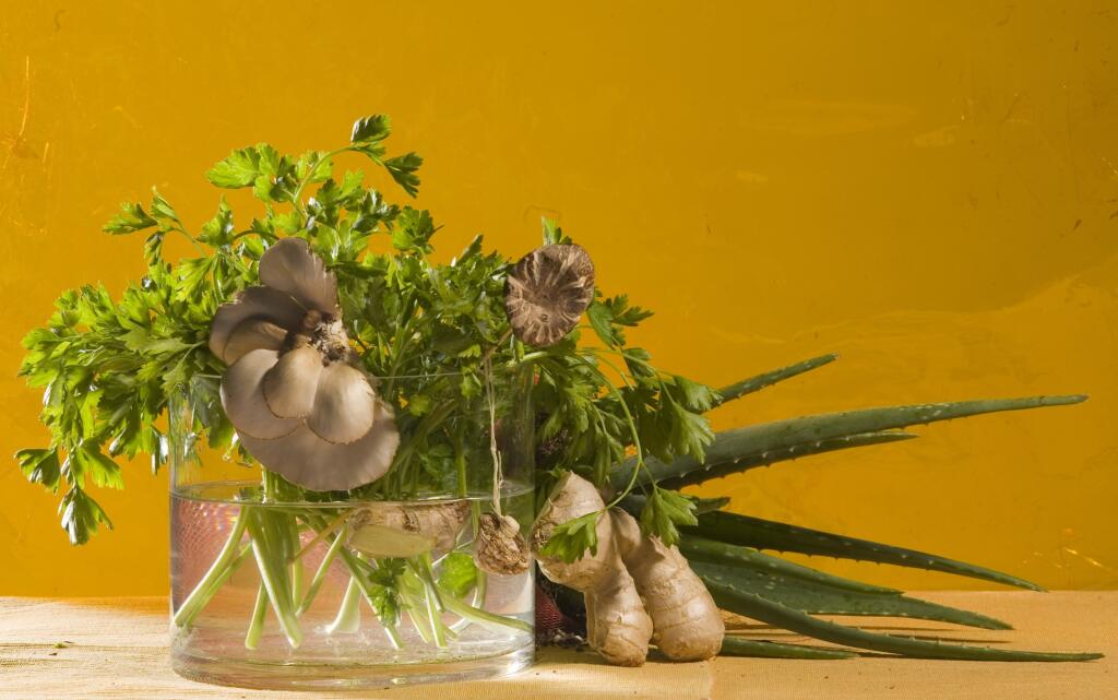 Jarné životobudiče, zázvor, hliva ustricová, petržlenová vňať, aloe vera, huby šiitake.