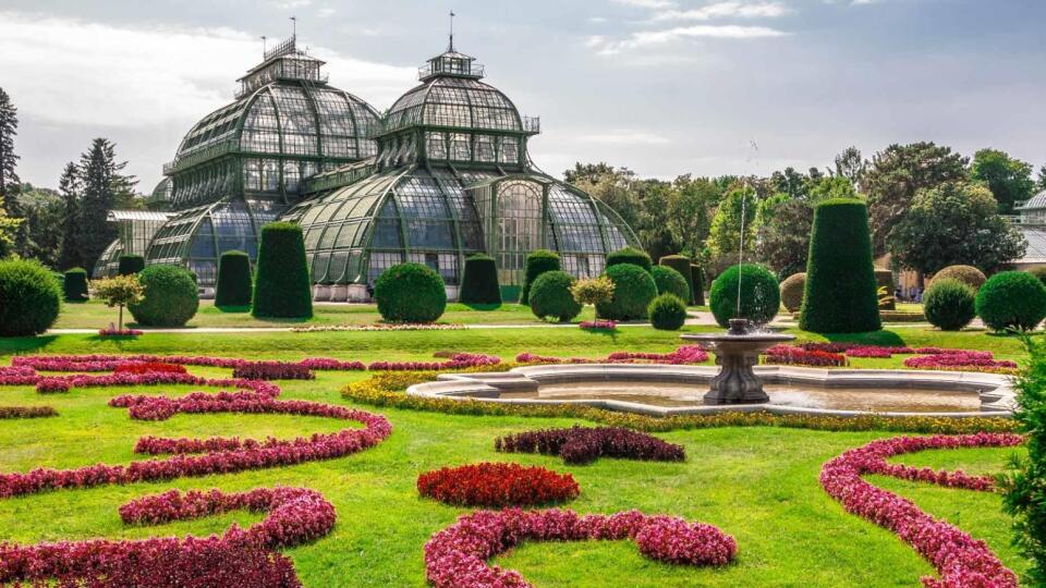 Palmový skleník, Schönbrunn.