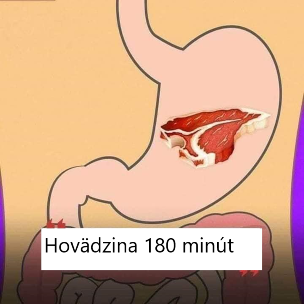 Dobrý steak vám v žalúdku postojí aj tri hodiny.
