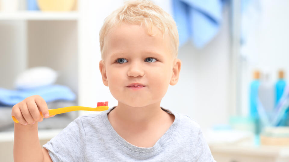 Zubnému kazu a parodontitíde, ktorou trpí väčšina populácie, možno predchádzať vďaka prevencii.