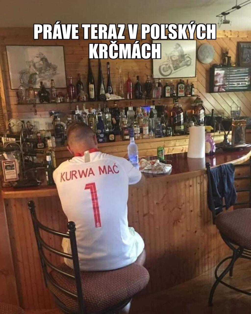 Slovenskí futbalisti vykročili do európskeho šampionátu víťazstvom nad Poľskom 2:1 a ako sme si už po zápasoch zvykli, internet zaplavilo množstvo vtipov.