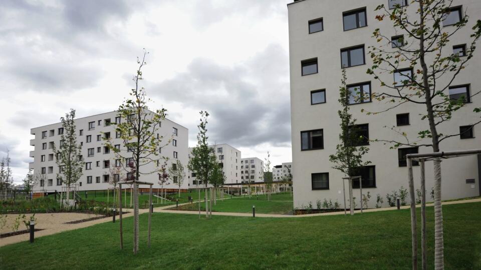Bory Home I