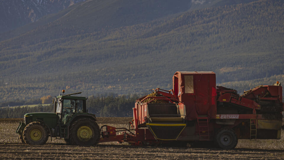 Farmári pracujú na zemiakovom poli na podhorí Vysokých Tatier neďaleko mesta Poprad.