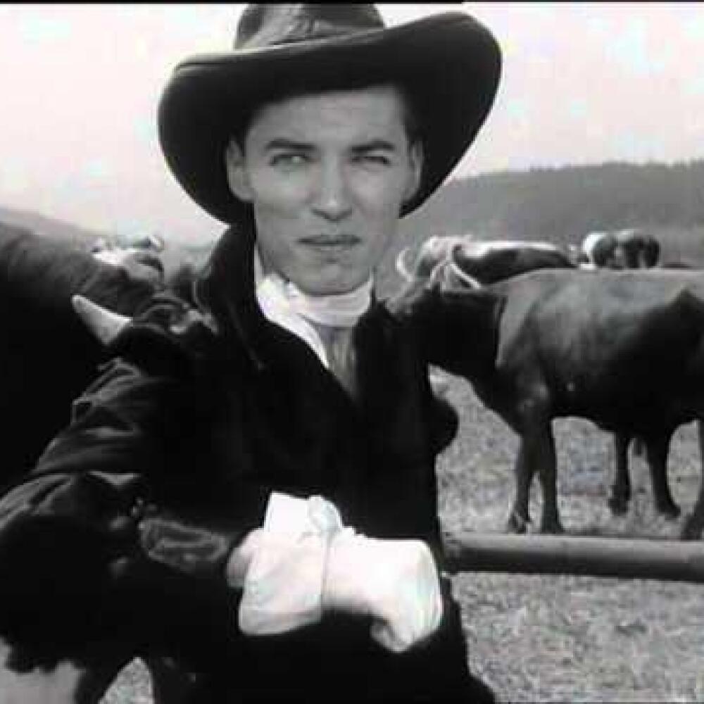 Karel Gott v klipe k piesni Zdvorilý Woody.
