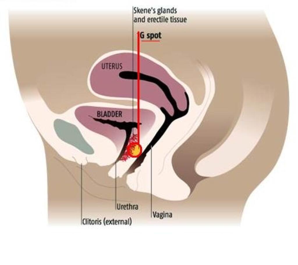 женские точки для оргазма фото 24