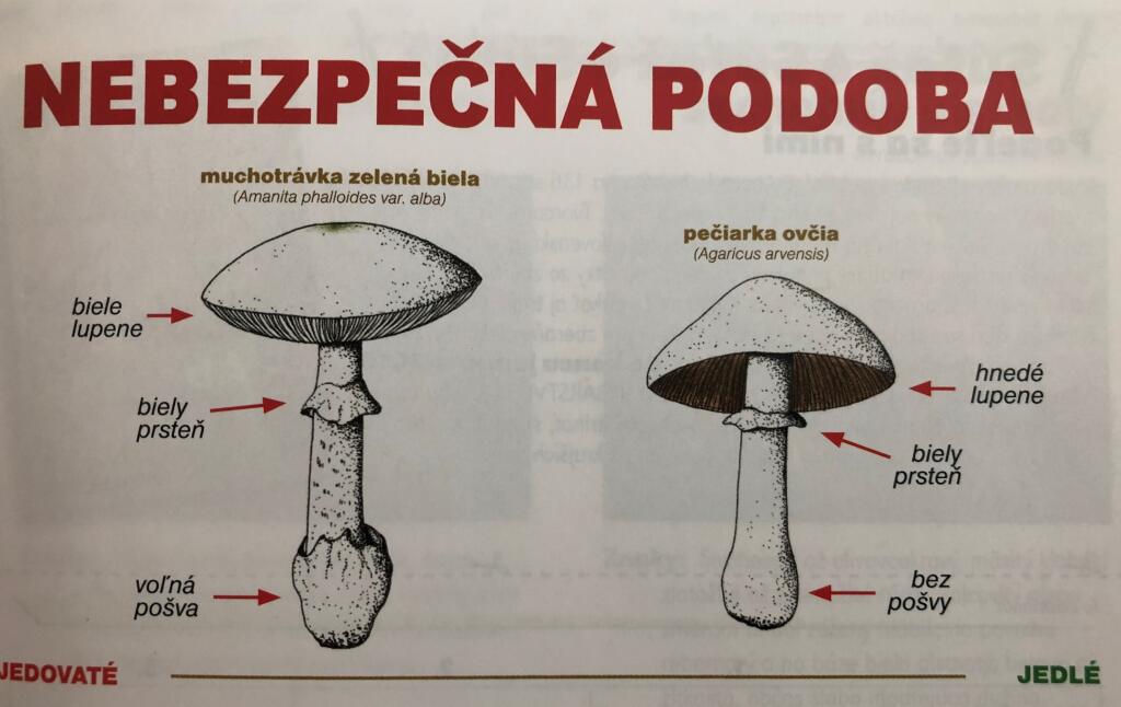 Nebezpečná podoba