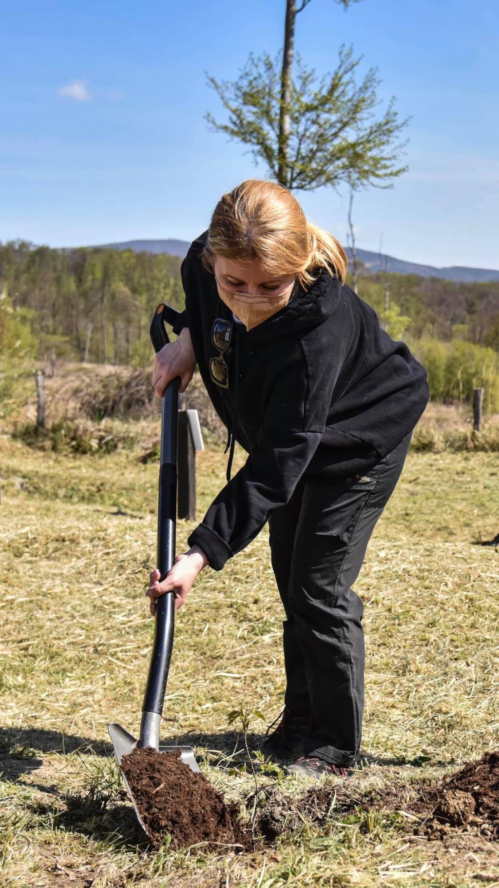 V apríli vysadila prezidentka spolu s dobrovoľníkmi v Limbachu 1650 stromčekov. Keďže sa jednalo o fyzickú prácu, vlasy mala zopnuté do jednoduchého vrkoča.