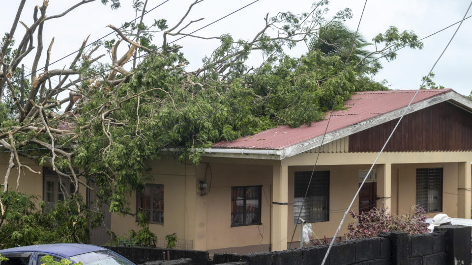 EBE 28 Kingstown - Strom leží na streche domu v Kingstowne na ostrove Svätý Vincent a Grenadíny po hurikáne Beryl v pondelok 1. júla 2024. FOTO TASR/AP

A tree lies on the roof of a house in Kingstown, St. Vincent and the Grenadines, after Hurricane Beryl on Monday, July 1, 2024. (AP Photo/Lucanus Ollivierre)