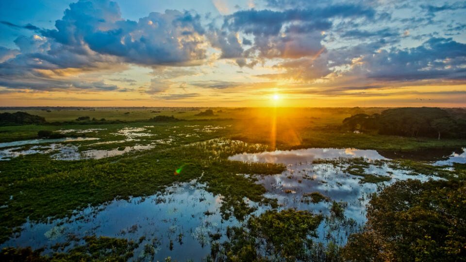 Sunrise,In,Pantanal,,Brazil.,Pantanal,Is,The,World's,Largest,Wetland