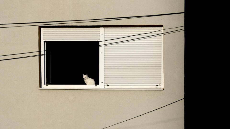 EBE 42 Belehrad - Na snímke mačka sa vyhrieva v okne domu počas slnečného dňa v srbskom Belehrade 31. decembra 2022. FOTO TASR/AP
A cat sits at the window during a sunny winter's day in Belgrade, Serbia, Saturday, Dec. 31, 2022. (AP Photo/Darko Vojinovic)