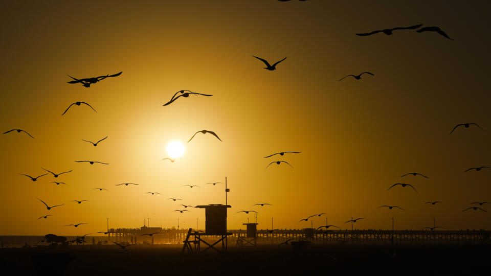 EBE 29 Newport Beach - Na snímke čajky na oblohe pri západe slnka v americkom Newport Beach v Kalifornii 12. septembra 2023. FOTO TASR/AP

Seagulls fly as the sun sets Tuesday, Sept. 12, 2023, in Newport Beach, Calif. (AP Photo/Ryan Sun)