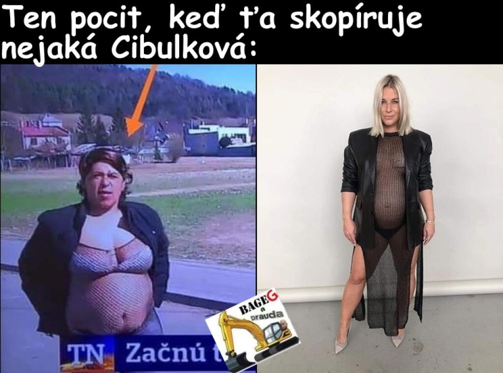 Mnohé satirické stránky po Cibulkovej odvážnom zábere zapracovali naplno a spustila sa hotová lavína vtipov a koláží, ktoré si zobrali extenistku do parády.