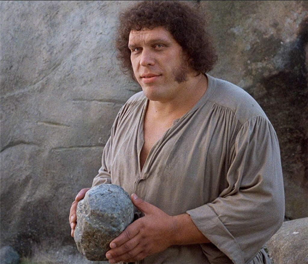 Po kariére wrestlera si André René Roussimoff zahral vo viacerých filmoch.