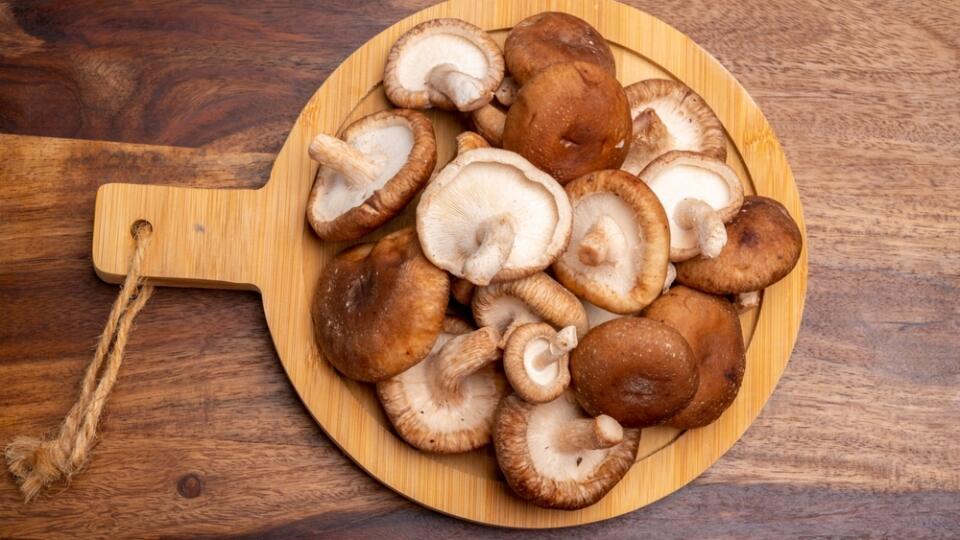 Fresh brown Lentinula edodes or shiitake edible mushrooms from Japan