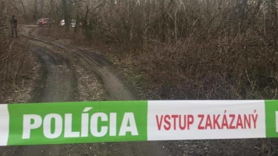 V Lese Na Strednom Slovensku Zomrel Muž: Zasiahol Ho Konár!