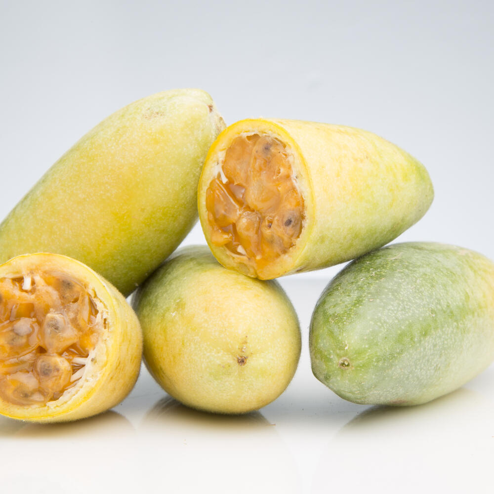 Passion fruit