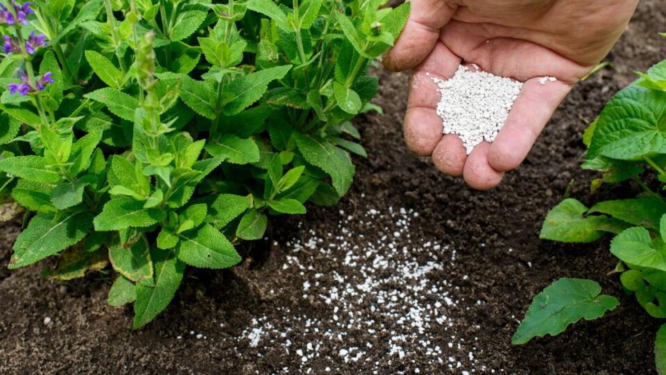 Pripravte si lacno a jednoducho účinné hnojivá pre vašu záhradu.