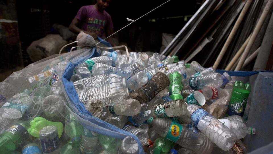 India World Environment Day