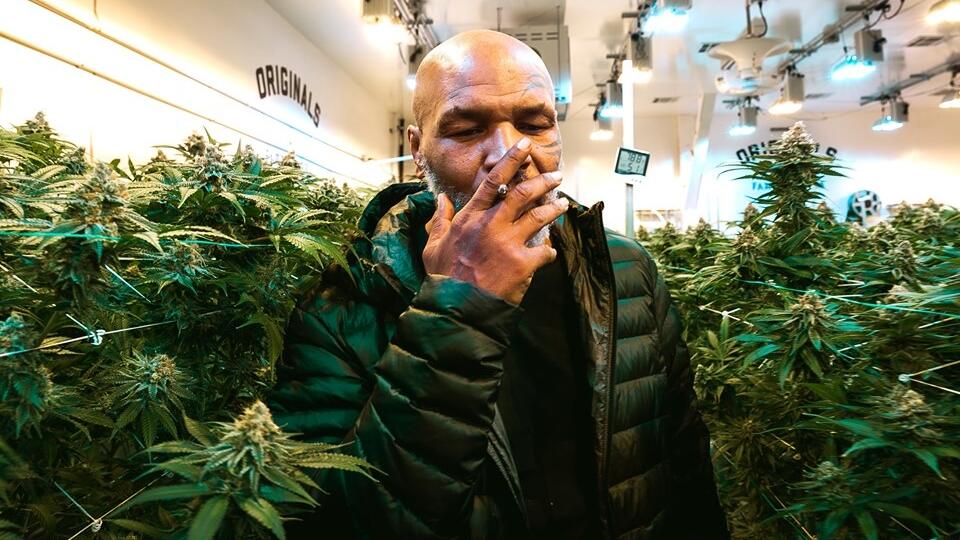Mike Tyson
