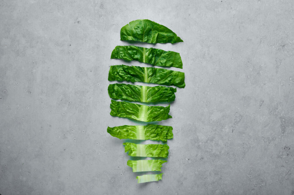 Romaine,Lettuce,Chopped,Leaf.,Background,Of,Green,Salad,Leaf.,Fresh