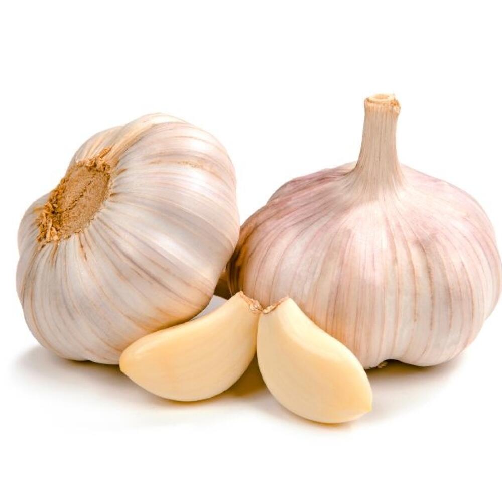 Cesnak