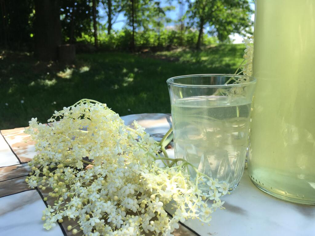 Domáci bazový sirup