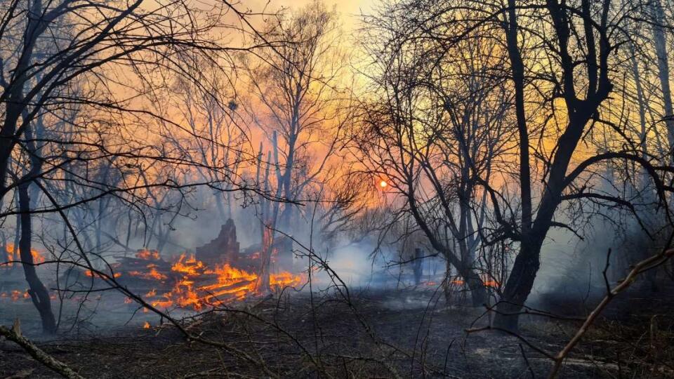 Ukrajinskí hasiči od soboty bojujú s lesným požiarom, ktorý v uzavretej zóne okolo Černobyľskej jadrovej elektrárne zachvátil takmer sto hektárov trávnatých porastov.