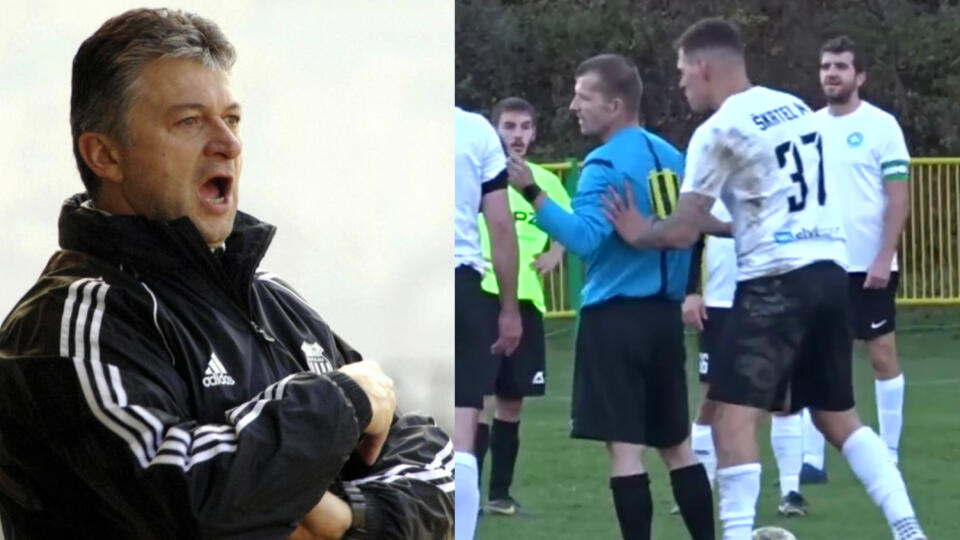 Bývalý reprezentačný brankár Ladislav Molnár v tom inzultáciu nevidel. Martin ani doňho nesotil, tvrdí.