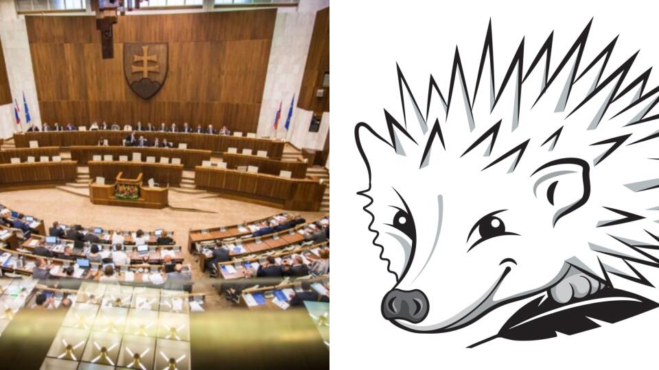 Koho voliť, nevoliť a či vôbec voliť?