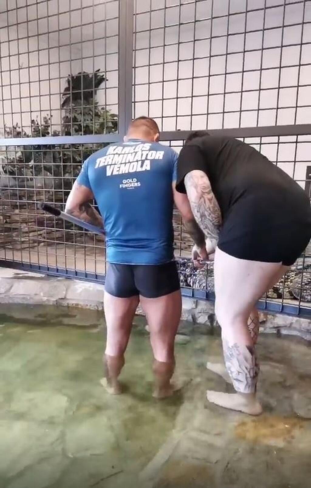 Vémola sa nebál vliezť do bazéna pomáhať pri rozmotávaní krokodíla.
