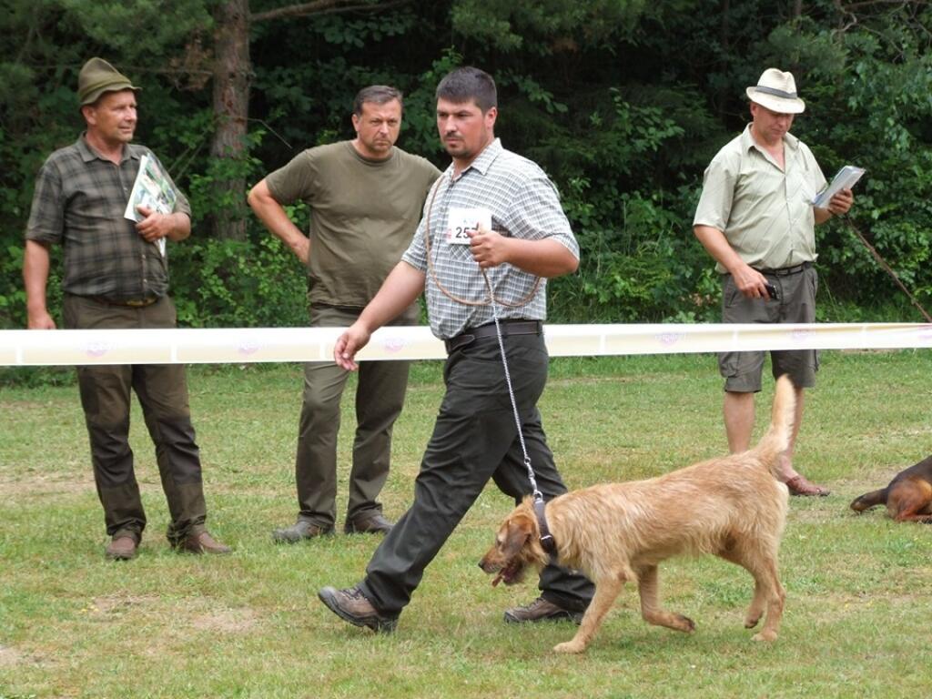 Sielnica: Klubová výstava duričov 2019