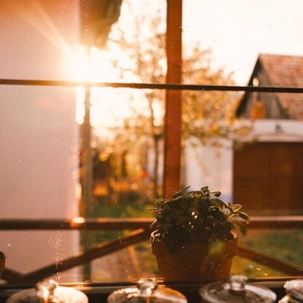 Ranný výhľad na dvor.