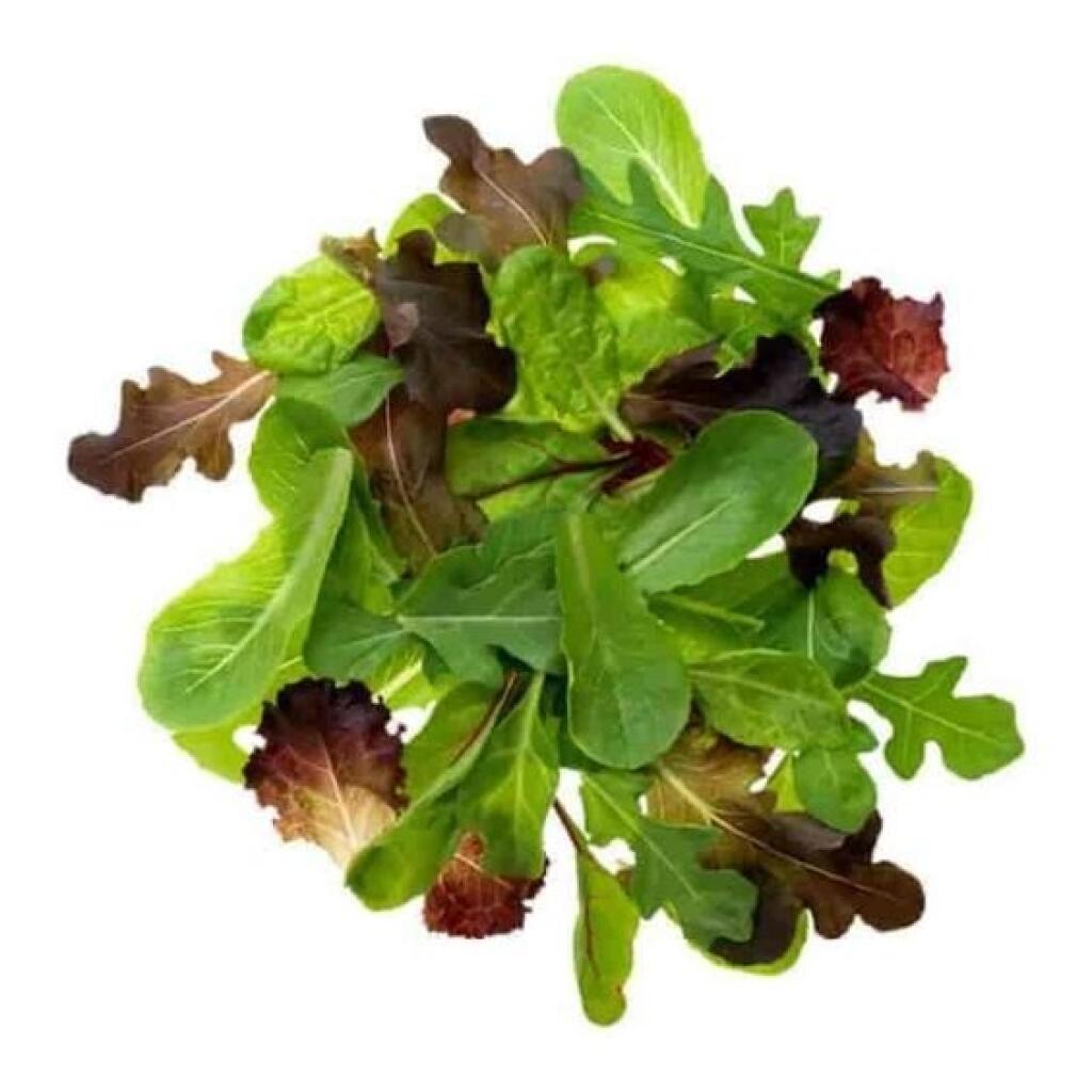 Nájdete ho v každom dobrom záhradkárstve pod označením Baby Leaf.