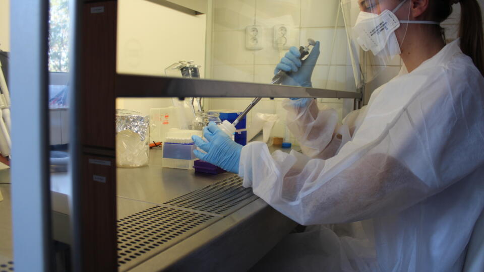 Ubehol presne rok od chvíle, keď ÚVZ začalo budovať diagnostiku na COVID-19. Dnes na Slovensku existuje celá sieť súkromných aj štátnych laboratórií.