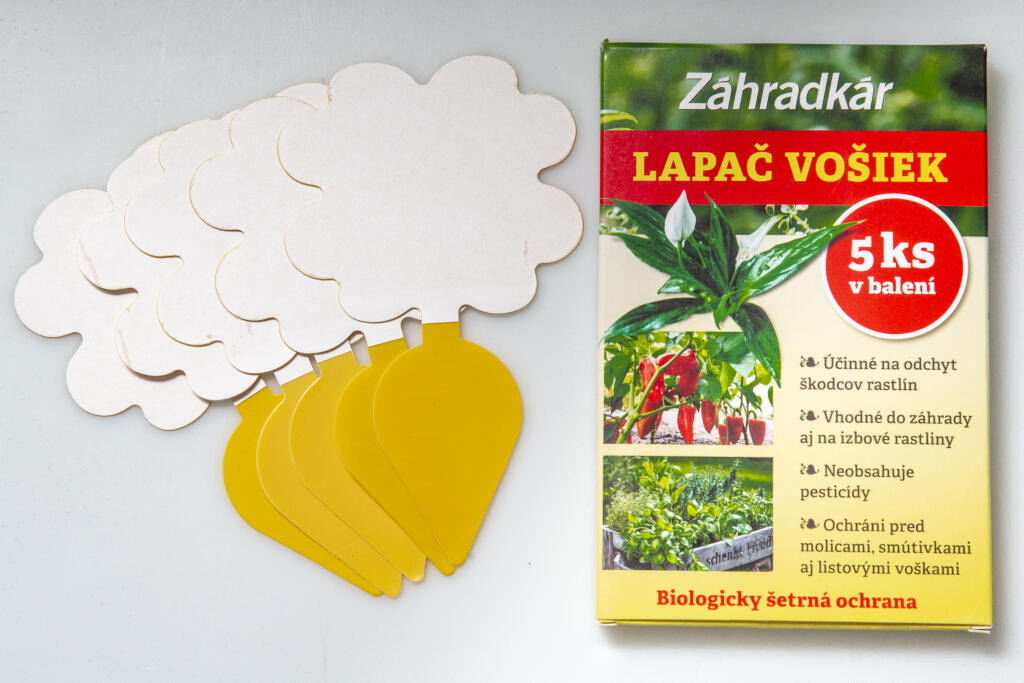 Žlté lepové doštičky pomôžu so signalizáciou škodcov. Nájdete ich ako darček v augustovom čísle časopisu Záhradkár.