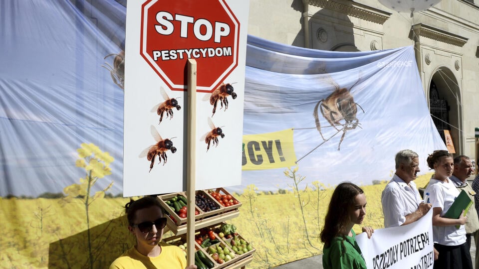 Poľskí aktivisti a včelári protestujú proti ohrozeniu včelstiev neonikotinoidmi