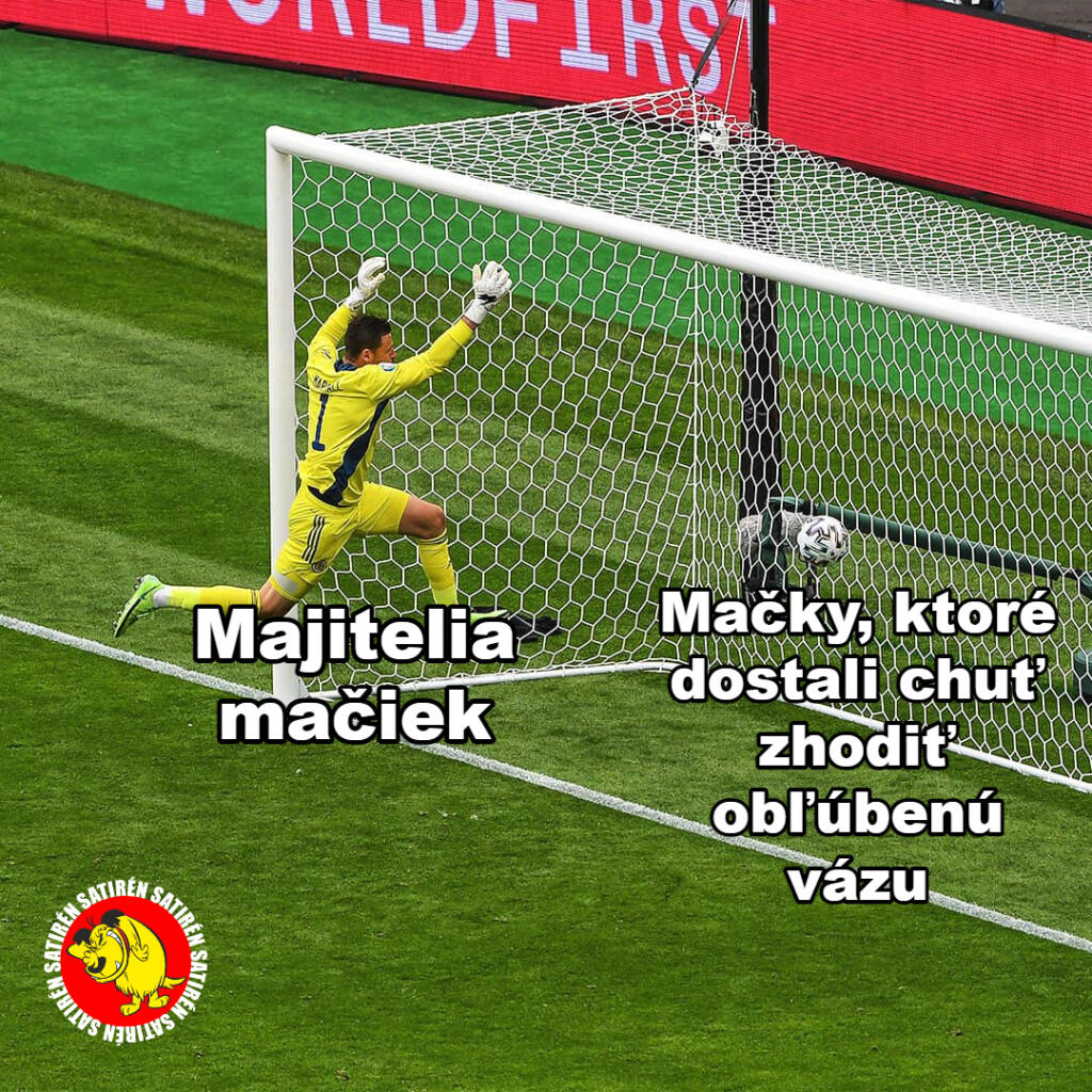 Vtipný moment nastal aj v zápase Česka so Škótskom. Patrik Schick strelil Škótom ďalekonosný gól, na ktorý brankár súpera nemal nárok. David Marshall sa stal terčom mnohých vtipných koláží.