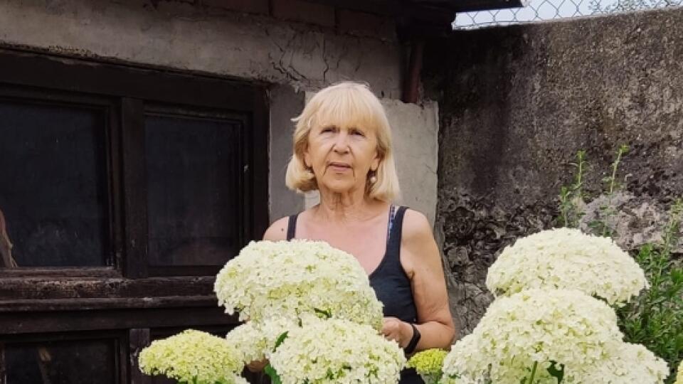 Najkrajšie hortenzie priamo z vašich záhrad.