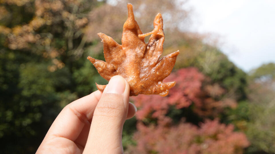 Fried,Maple,Leaves,In,Japan,With,Autumn,Background