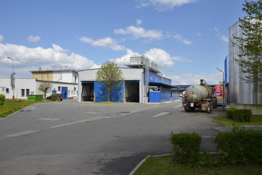 Účtovníctva mliekarní ukázali, ako parádne zarobili na vlaňajšom zdražení masla