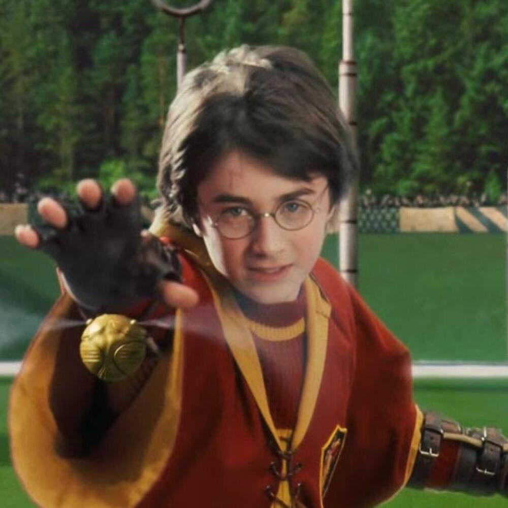 Harry Potter